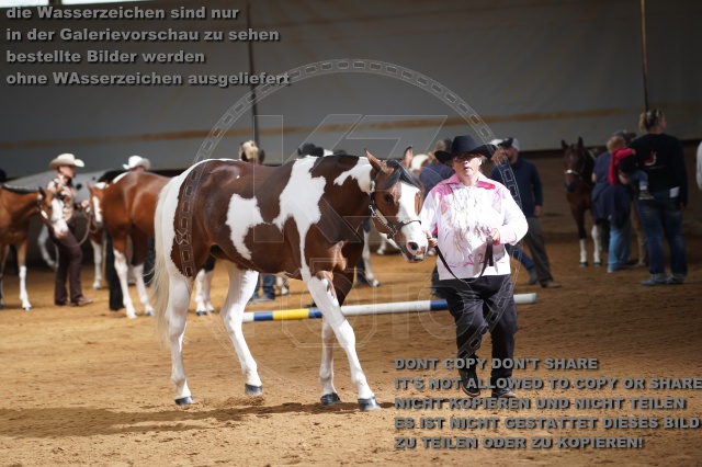 s_A_900371.JPG